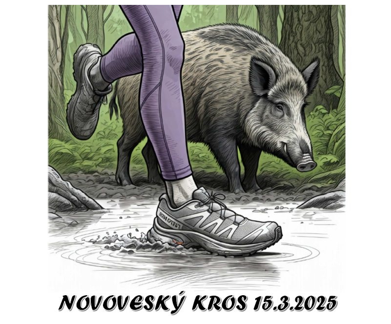 Novoveský kros